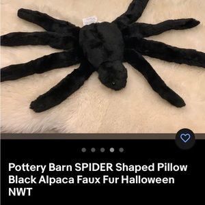Pottery barn alpaca spider